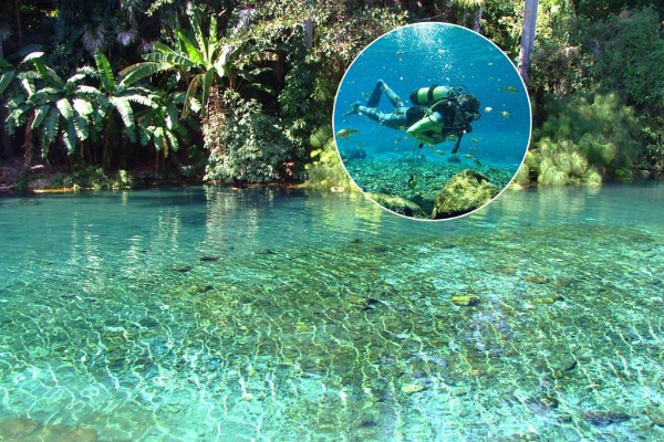 Buceo en la naturaleza. Nada se compara con la sensación del agua cristalina tocando la piel en medio de la selva. Los ríos y manantiales de Morelos son un refugio natural para quienes buscan desconectarse del mundo. El mejor plan siempre tiene agua de por medio.