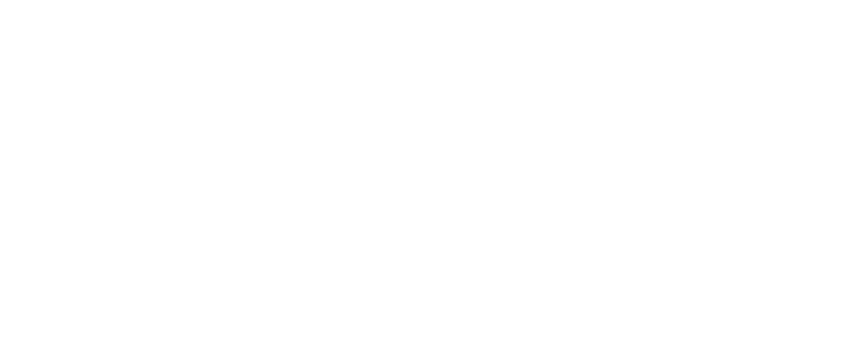light logo